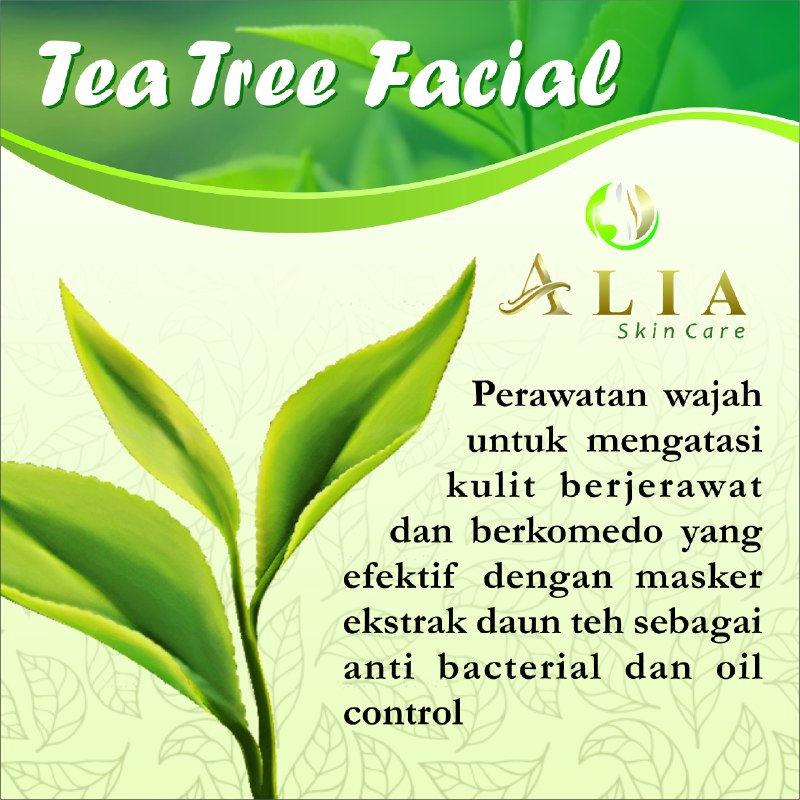 Tea Tree Oil: Senjata Alami Ampuh Melawan Jerawat